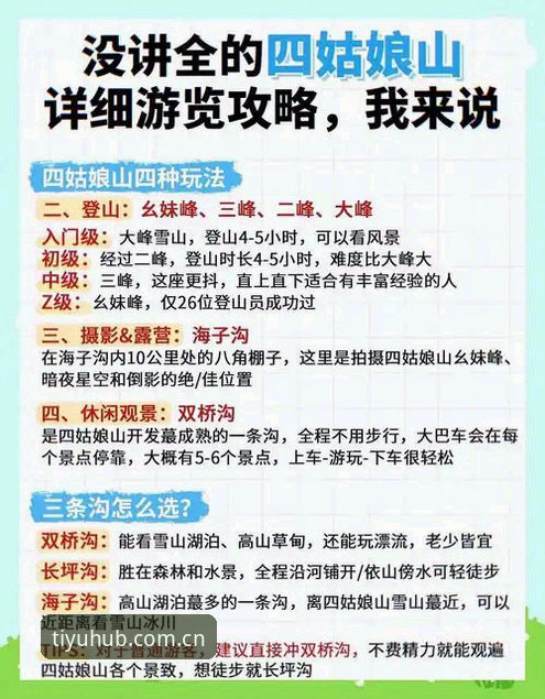 196体育平台登录攻略全解析：资深用户教你避开常见坑，快速上手